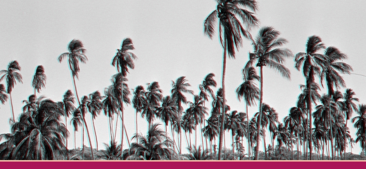 Presentación del Portafolio artístico