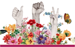 Mujeres Cantantes de Latinoamérica