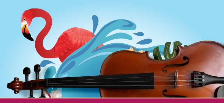 Concierto de verano
