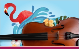 Concierto de verano